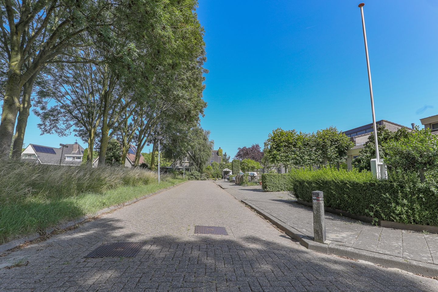 Foto 49 van Melkbon 13