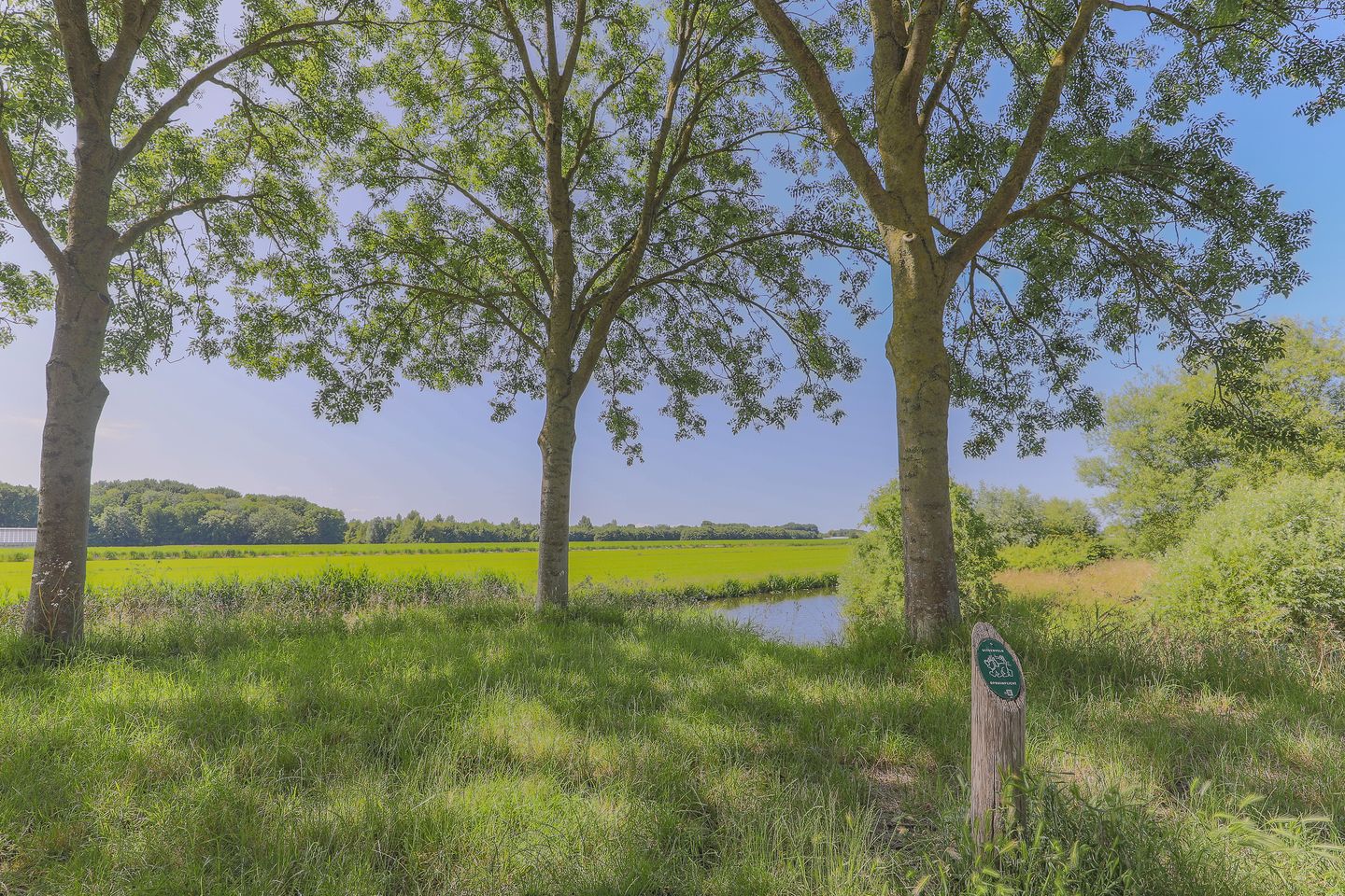 Foto 50 van Melkbon 13