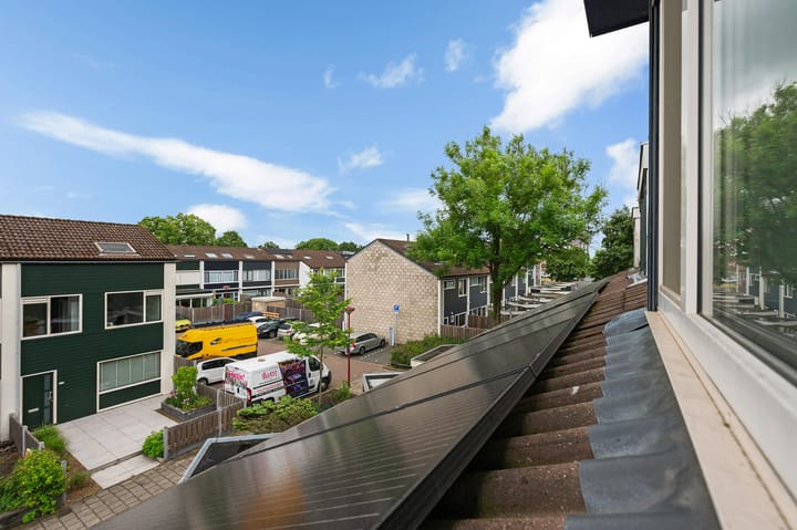 Foto 24 van Dogkardrift 12