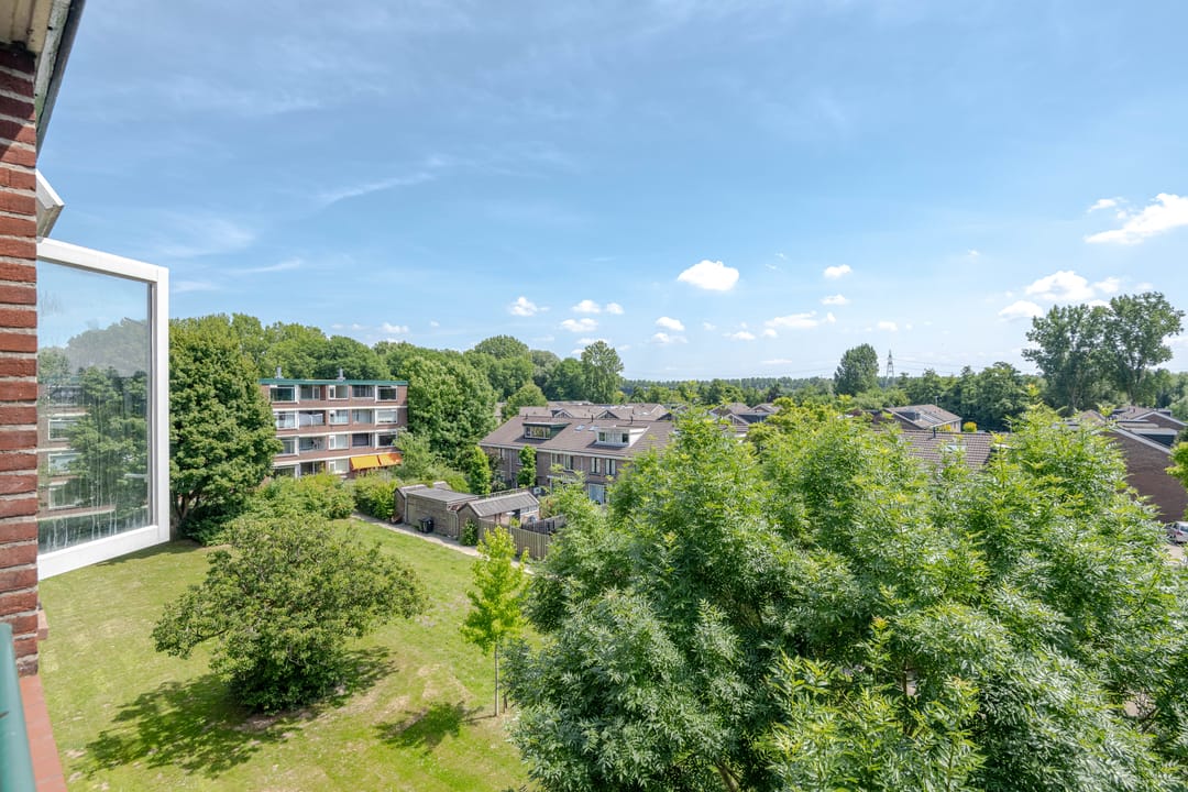 Photo 22 of Ruigoord 196