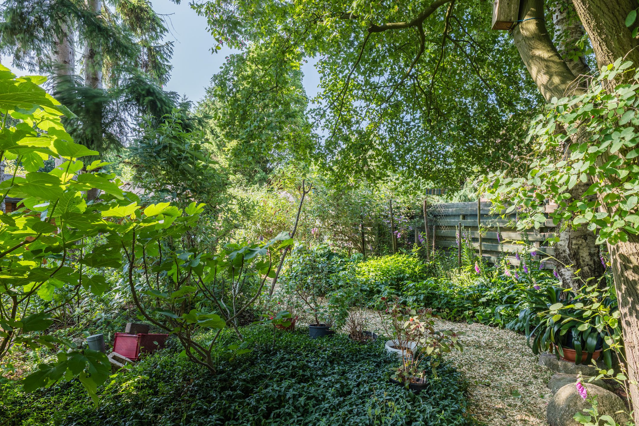 Photo 18 of Noorderdiep 70