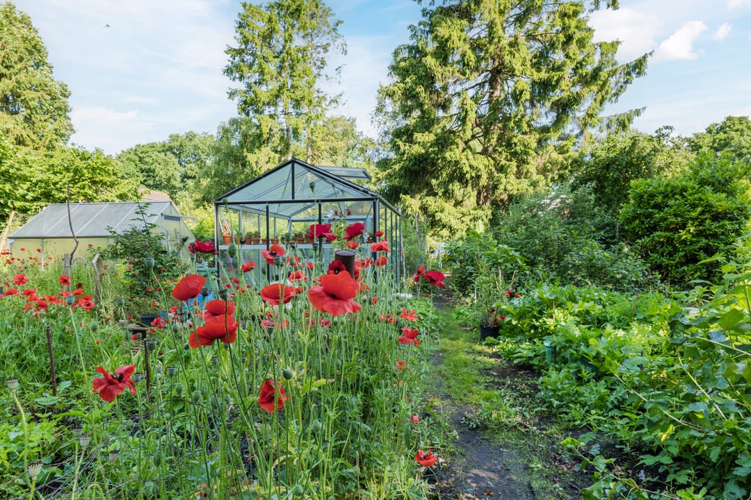 Photo 22 of Noorderdiep 70