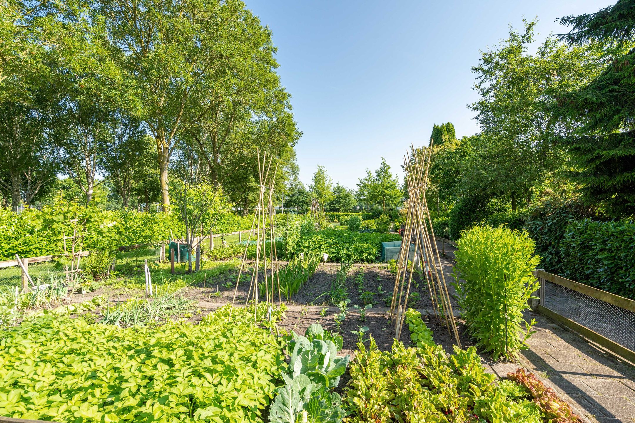 Foto 33 van Valkenstede 41