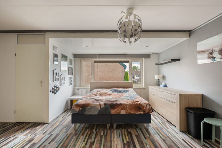 Foto 11 van Goudmos 49