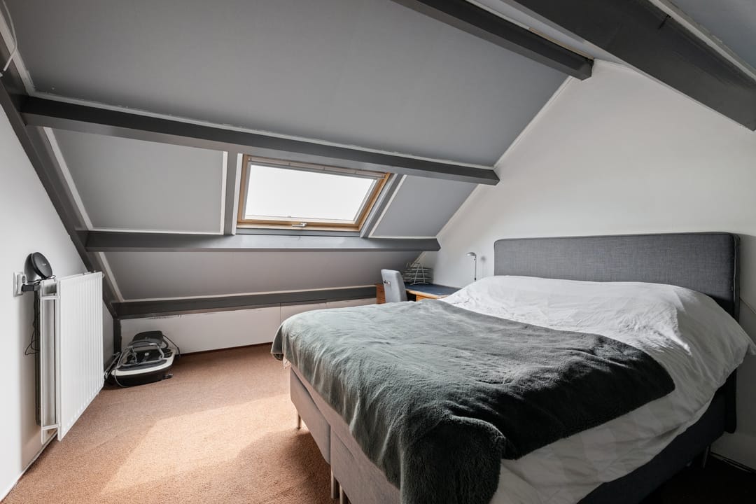 Photo 17 of Goudmos 49