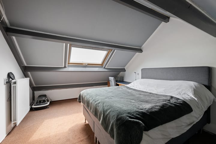 Foto 17 van Goudmos 49