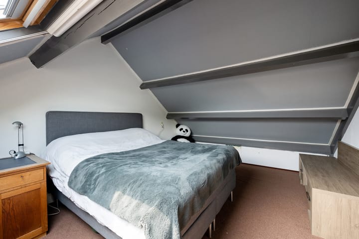 Foto 18 van Goudmos 49