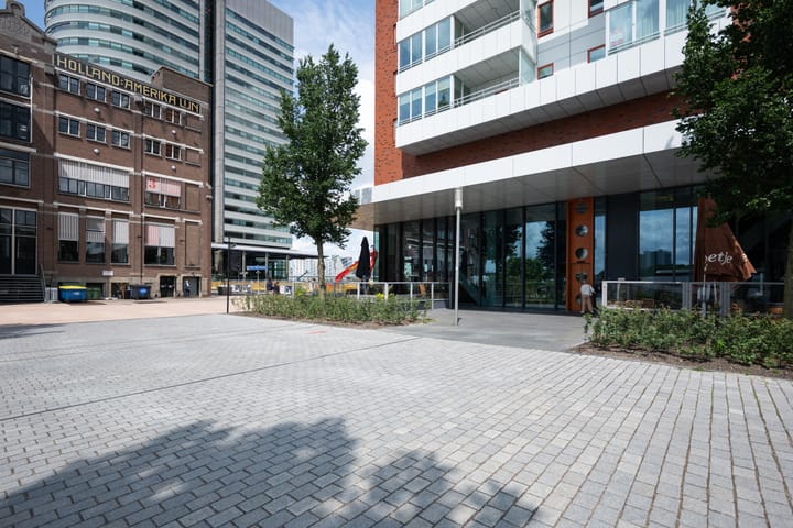 Foto 7 van Landverhuizersplein 129