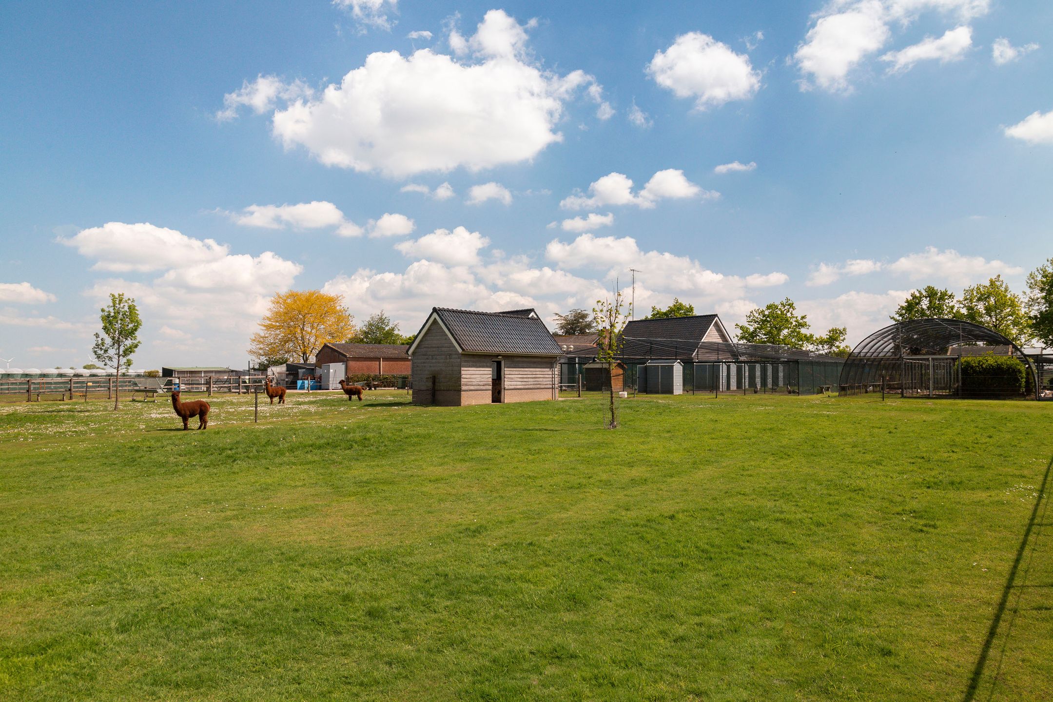 Foto 3 van Gagelweg 15