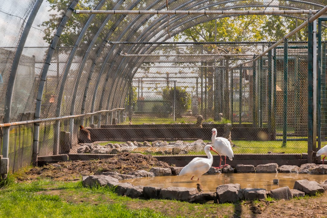 Foto 23 van Gagelweg 15