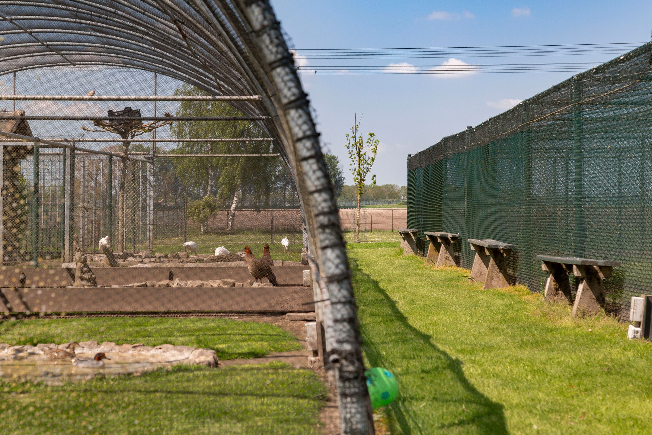 Foto 24 van Gagelweg 15