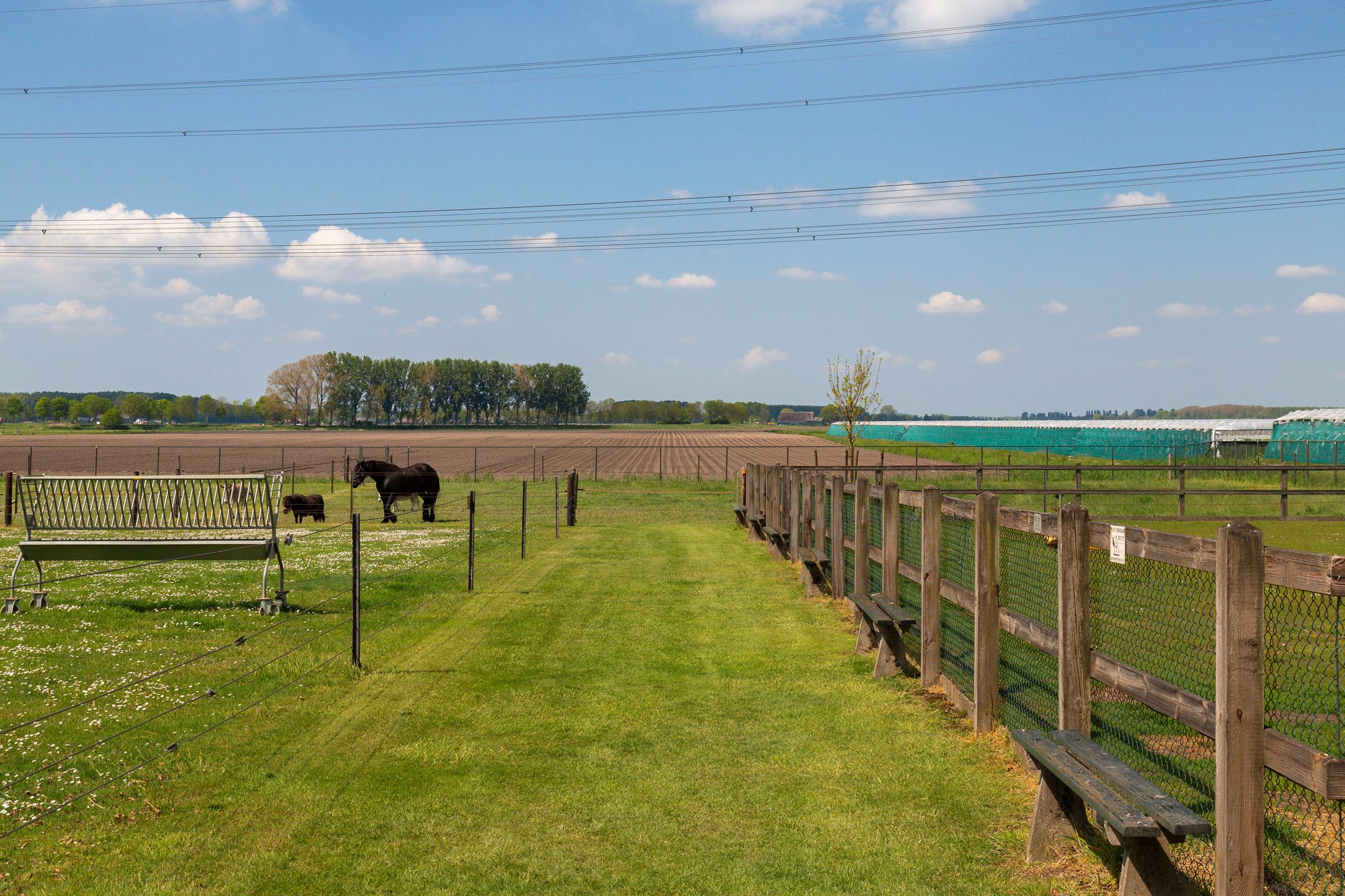 Foto 30 van Gagelweg 15