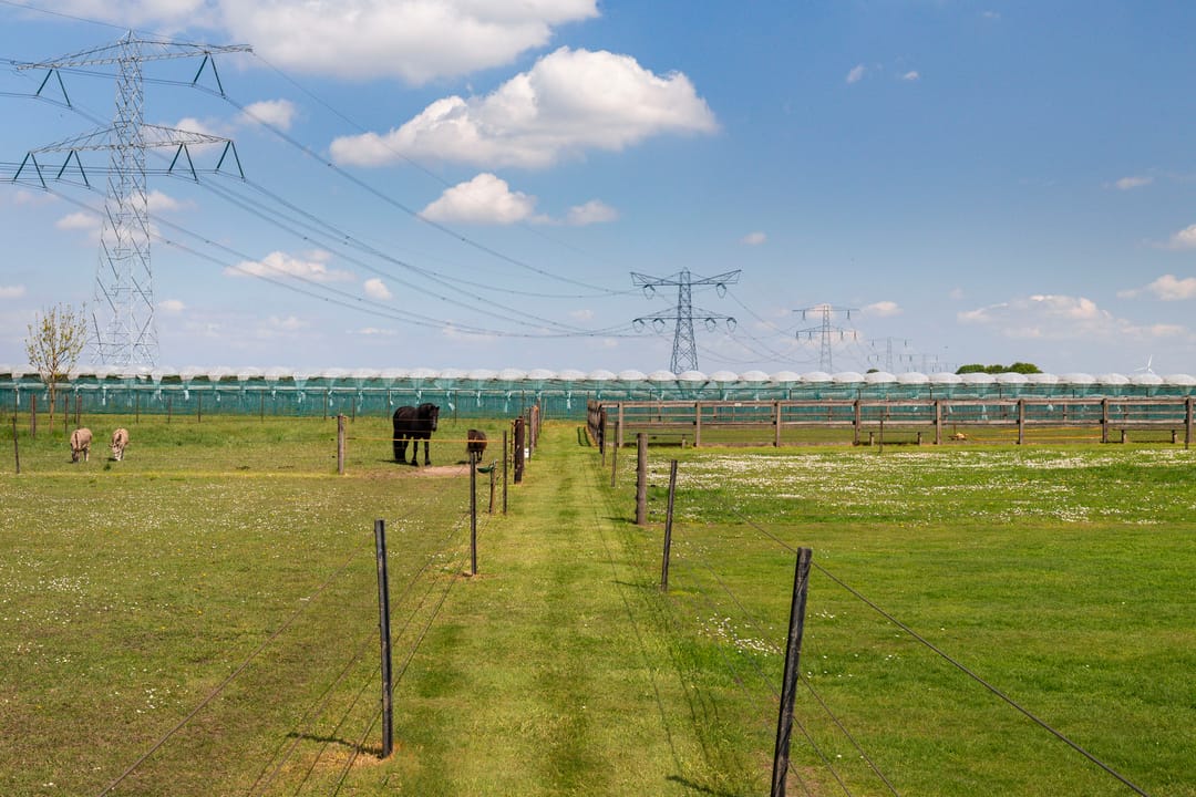 Foto 31 van Gagelweg 15