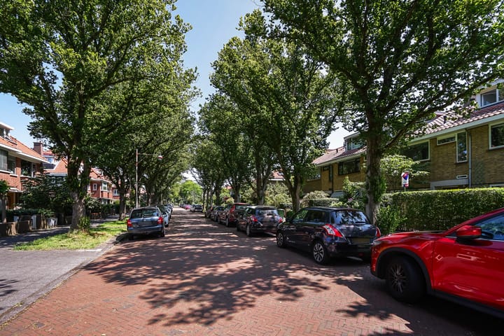 Foto 50 van Pauwenlaan 98