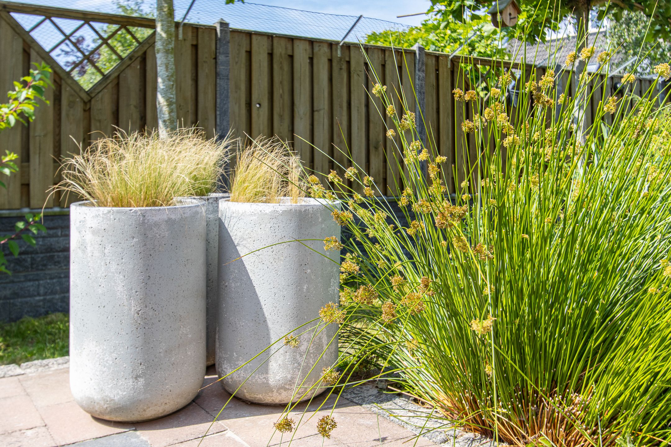 Foto 63 van De Bongerd 84