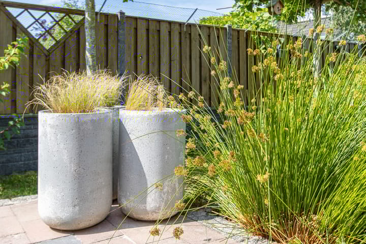 Foto 63 van De Bongerd 84