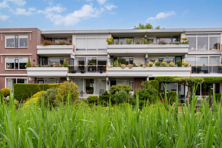 Foto 5 van Meesvink 33