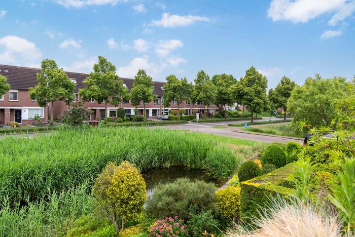 Foto 17 van Meesvink 33