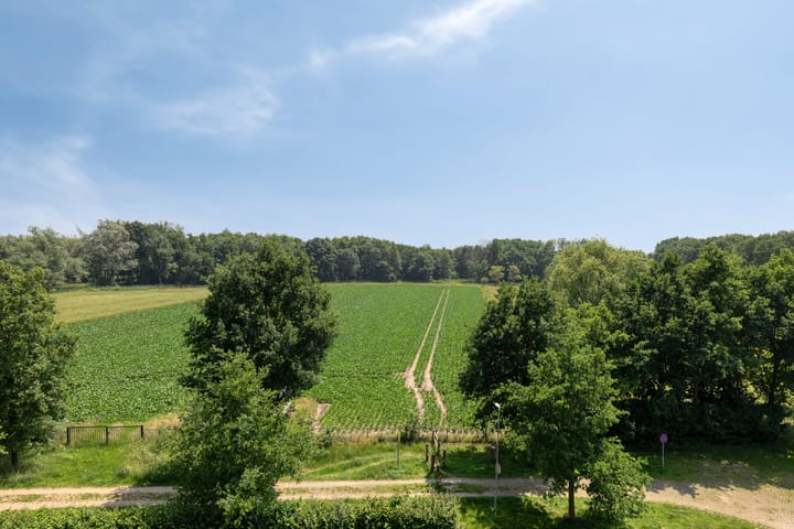 Foto 28 van Hoge Wal 49-10