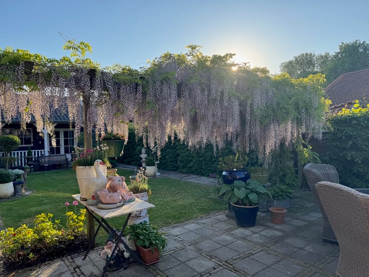 Foto 26 van Dorpsstraat 4