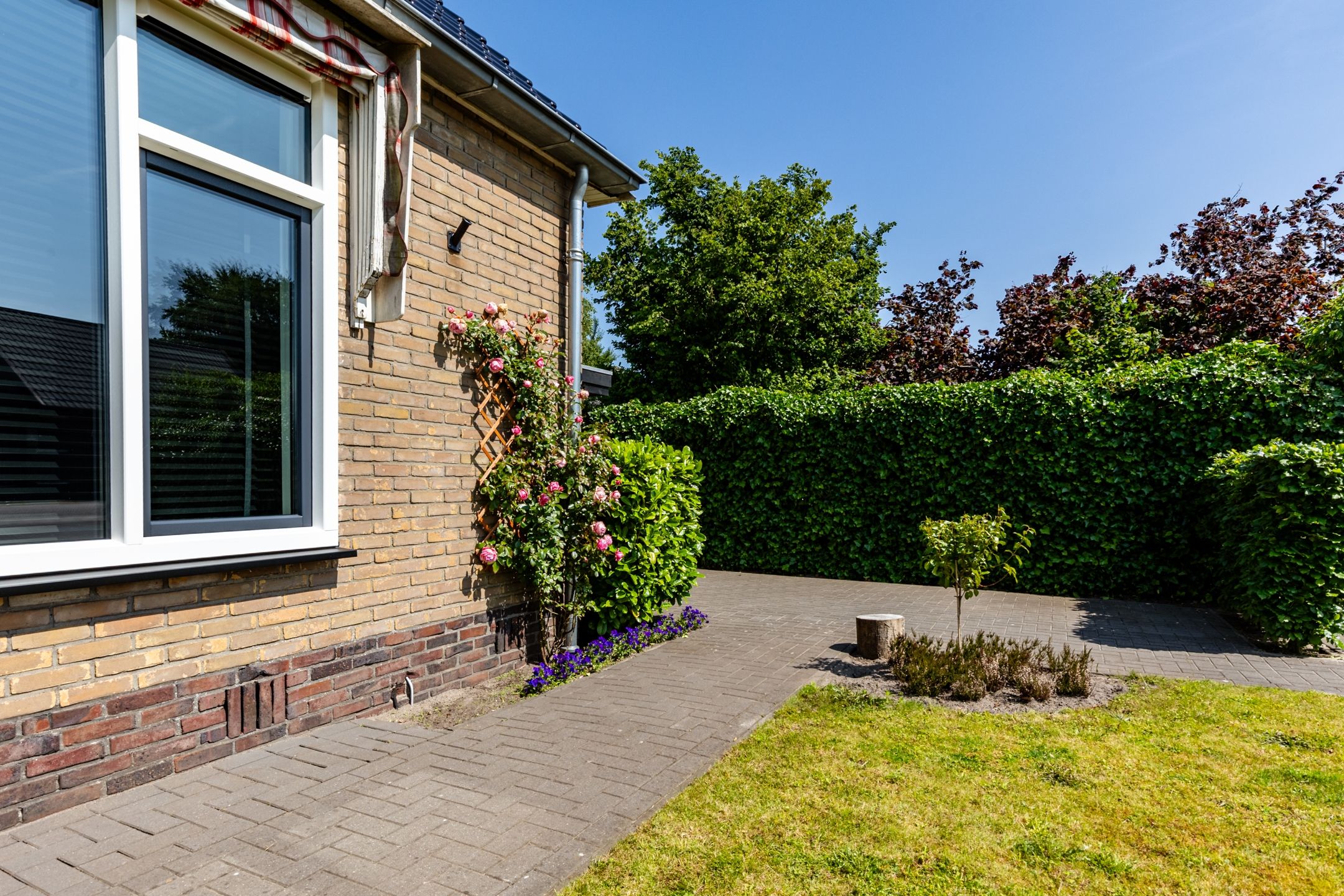 Foto 42 van Molenlaan 2