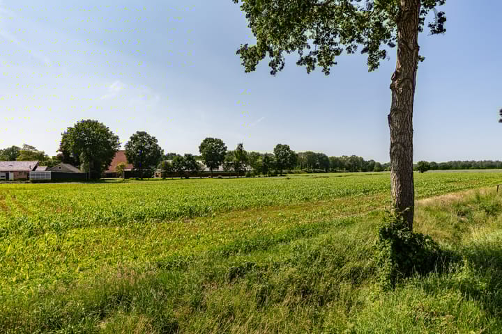 Foto 47 van Molenlaan 2