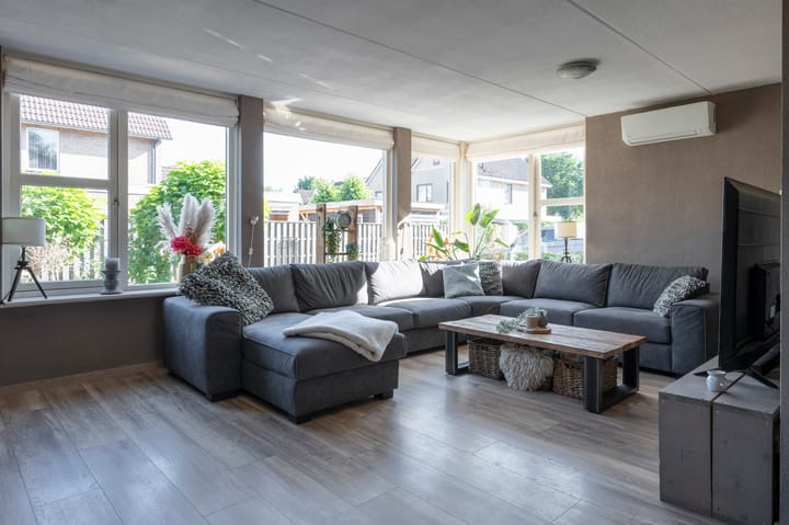 Foto 2 van Grijze Snip 41