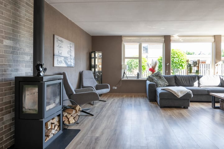 Foto 5 van Grijze Snip 41