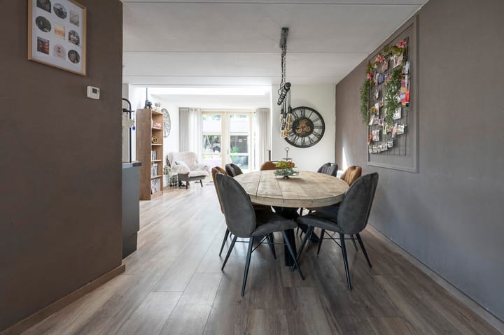 Foto 7 van Grijze Snip 41