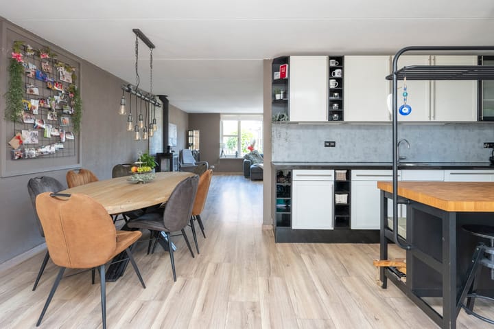 Foto 9 van Grijze Snip 41