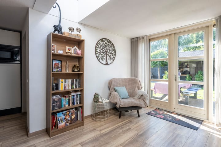 Foto 13 van Grijze Snip 41