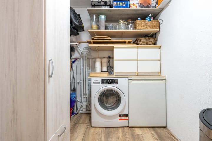 Foto 15 van Grijze Snip 41