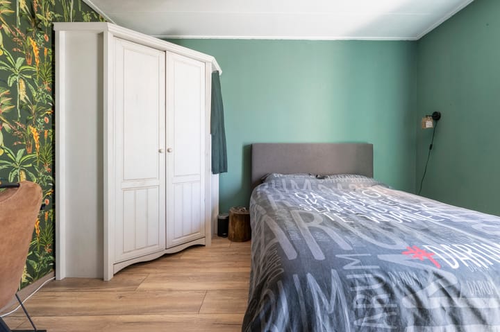 Foto 16 van Grijze Snip 41