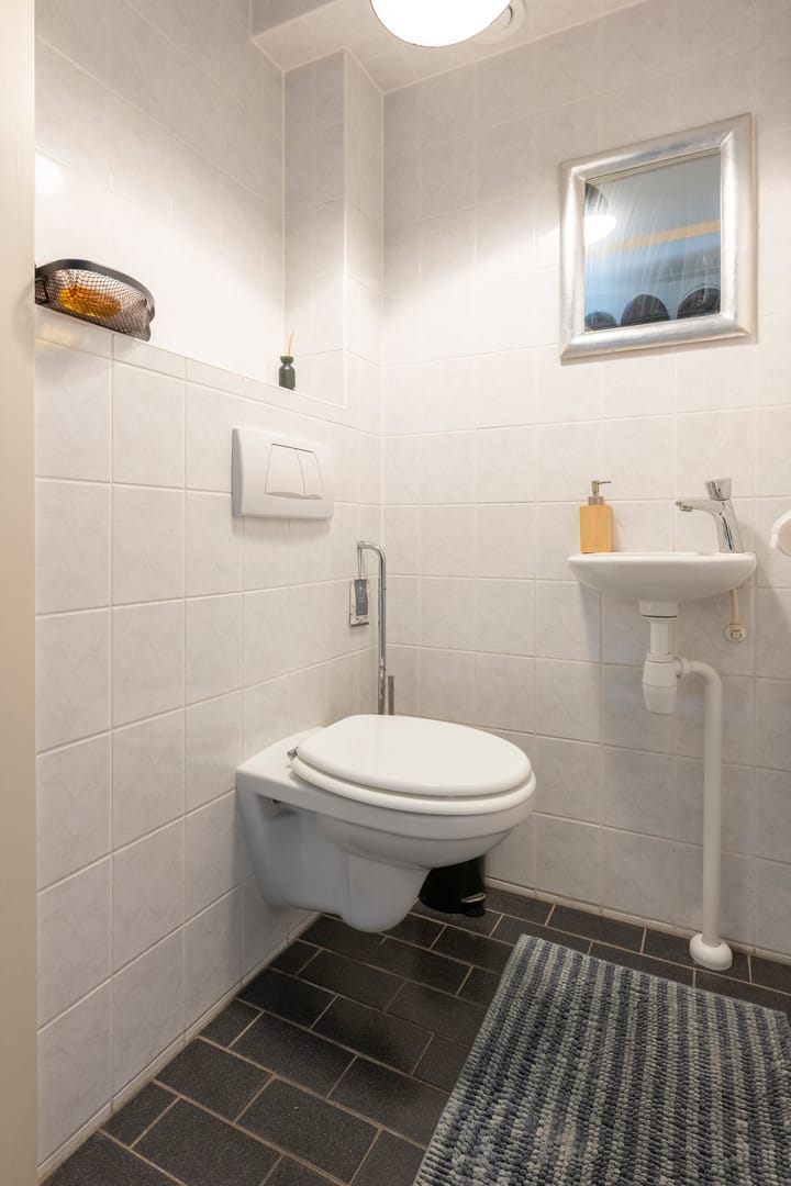 Foto 17 van Grijze Snip 41