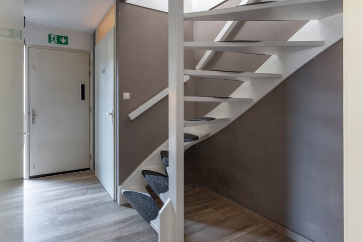 Foto 18 van Grijze Snip 41