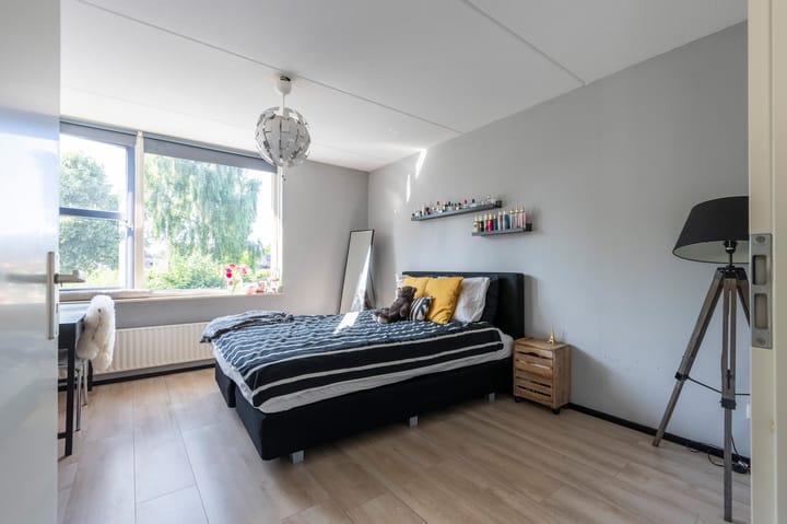 Foto 19 van Grijze Snip 41