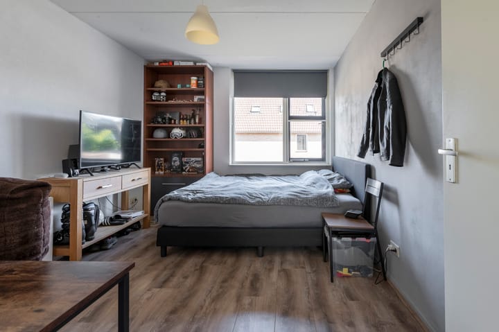 Foto 20 van Grijze Snip 41