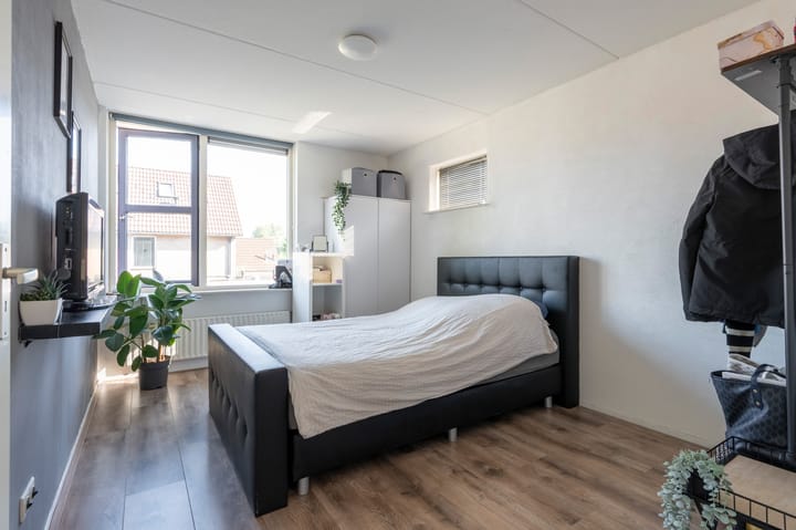 Foto 21 van Grijze Snip 41