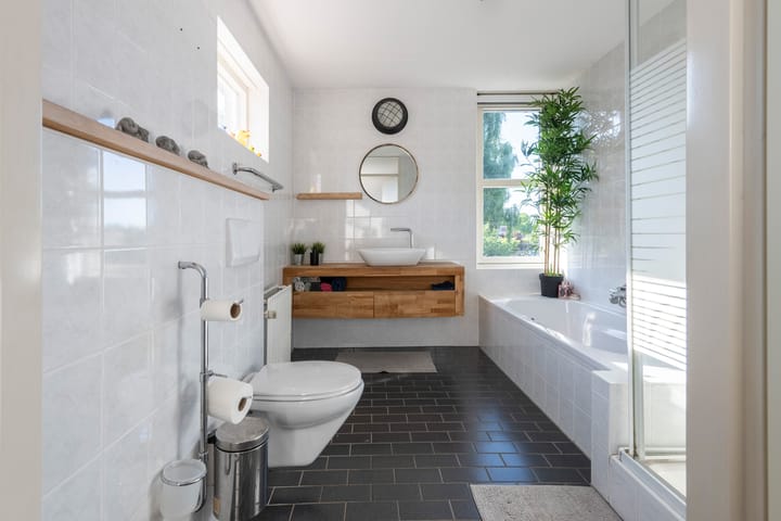 Foto 22 van Grijze Snip 41