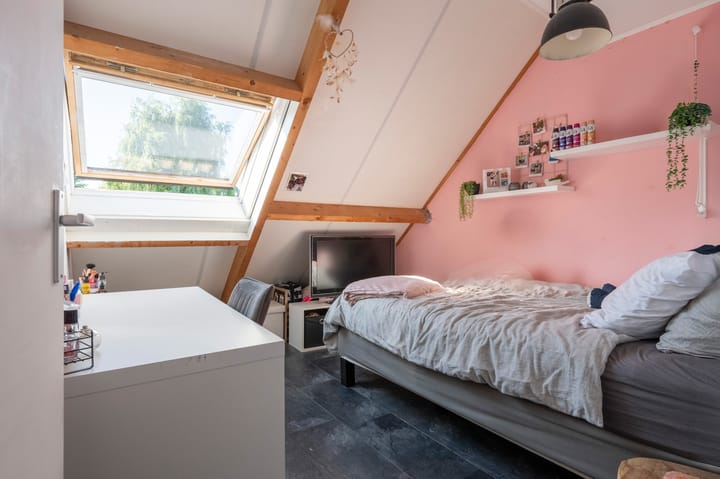 Foto 25 van Grijze Snip 41