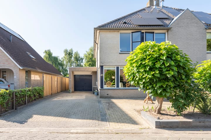 Foto 31 van Grijze Snip 41