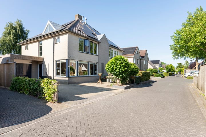 Foto 32 van Grijze Snip 41