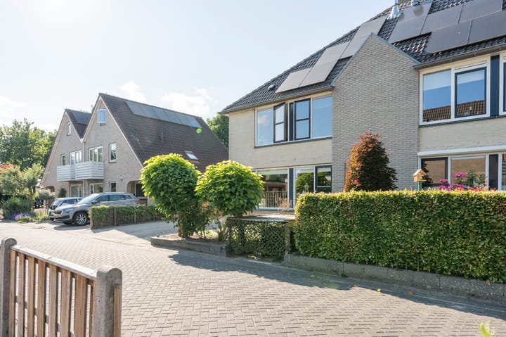 Foto 33 van Grijze Snip 41