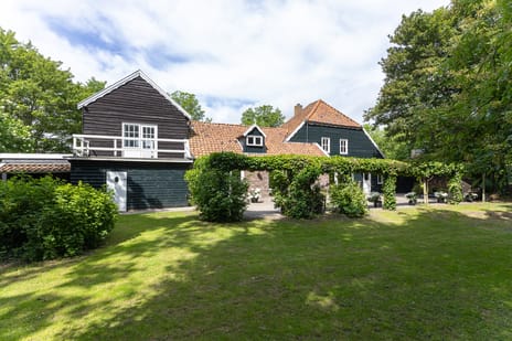 undefined main image