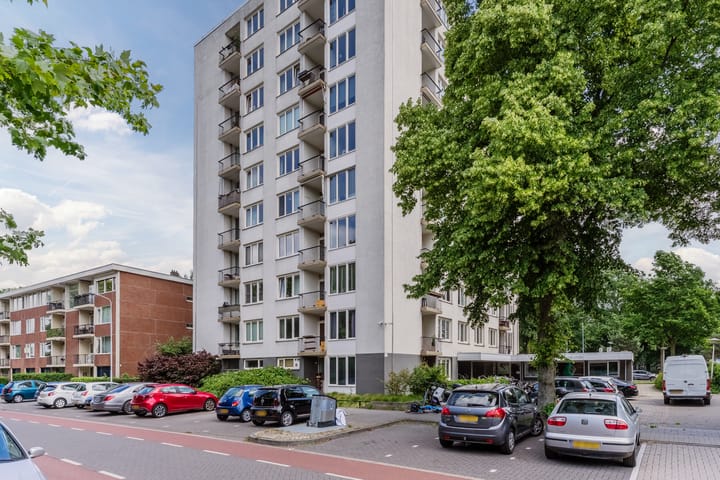 Foto 30 van Pisanostraat 74