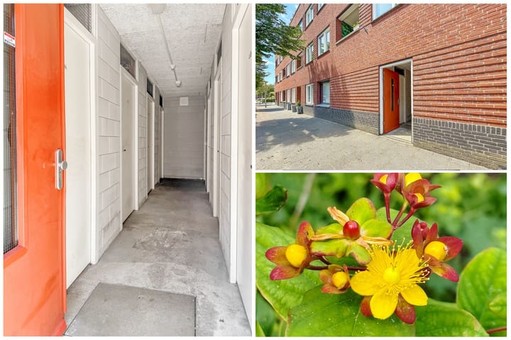 Foto 41 van Julianastraat 120