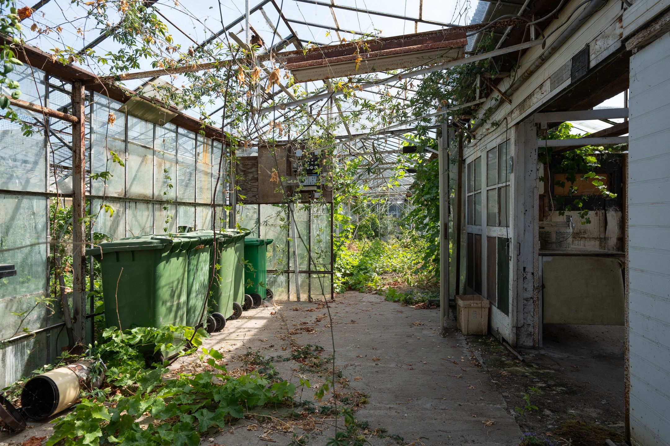 Photo 30 of Kwaklaan 44