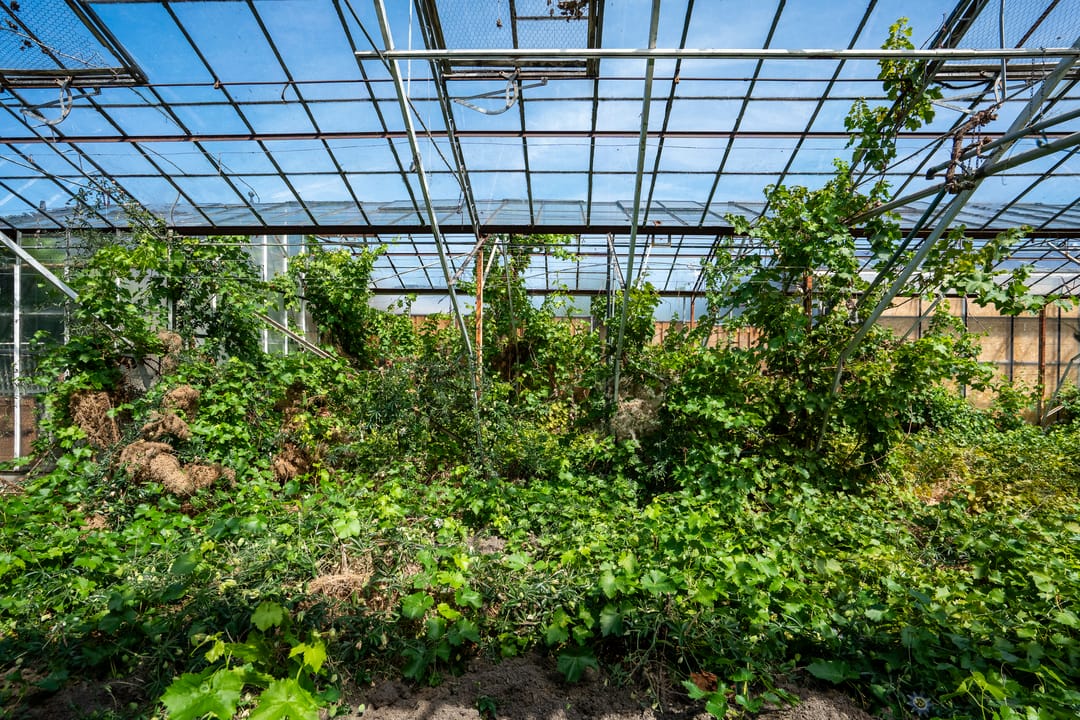 Photo 31 of Kwaklaan 44