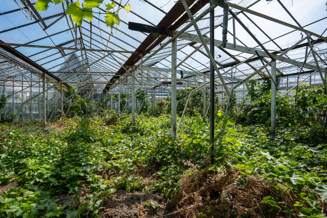 Photo 32 of Kwaklaan 44