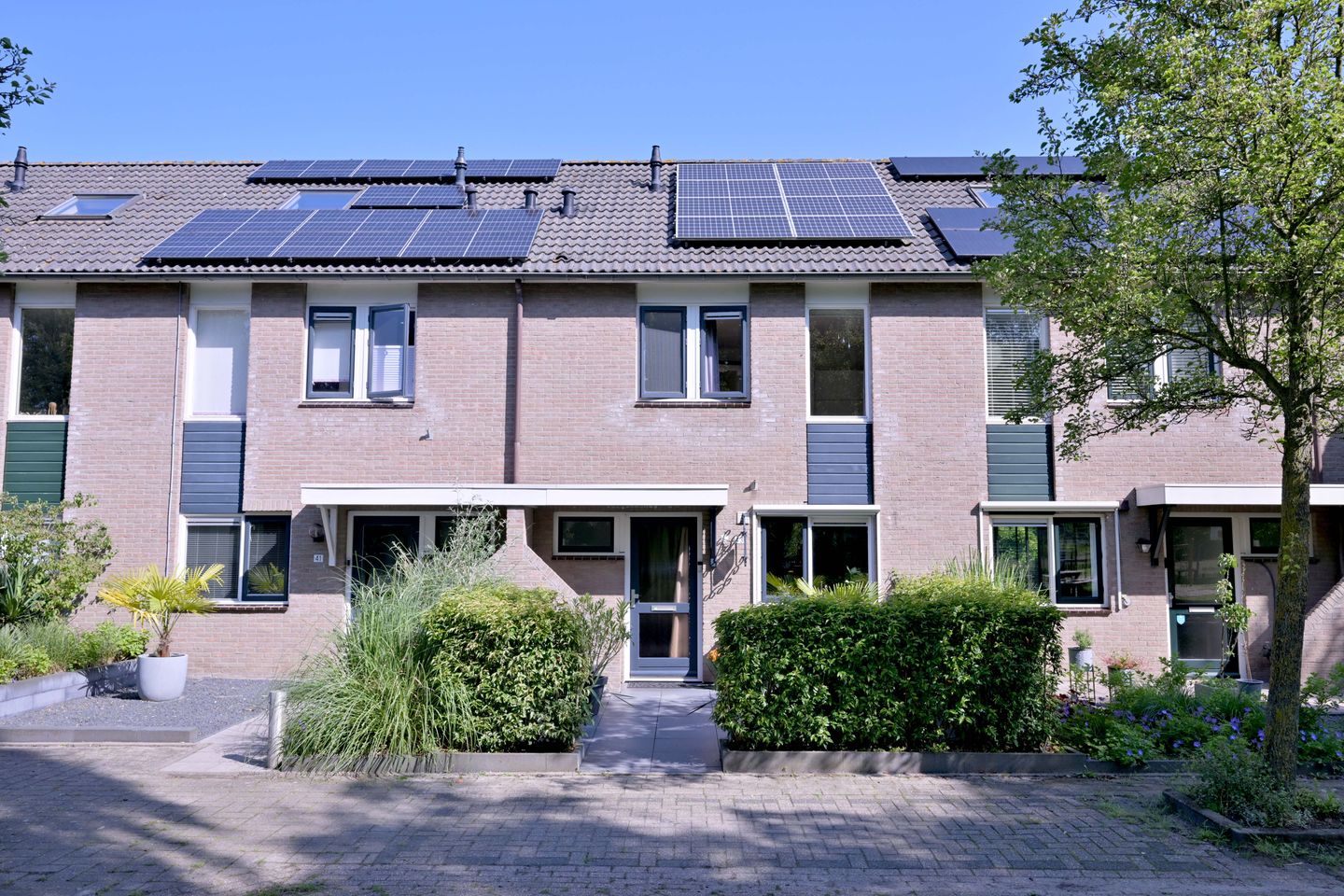 Foto 1 van Kardinaalsmuts 43